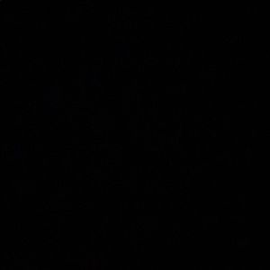 Meet your Posher, Siena